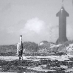 Foto Mudança de Linhas de Base