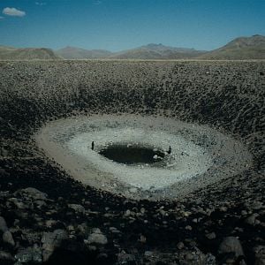 Foto    A Anatomia dos Cavalos