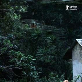 Foto A Doença do Sono