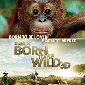 Foto Livres por Natureza