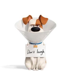 Foto Pets - A Vida Secreta dos Bichos 2