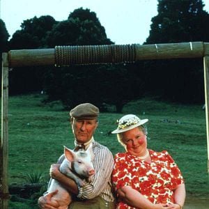 Foto Babe - O Porquinho Atrapalhado na Cidade