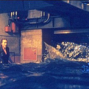 Foto Do Fundo do Mar