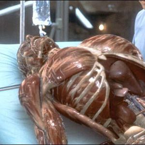 Foto O Homem Sem Sombra