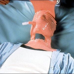 Foto O Homem Sem Sombra