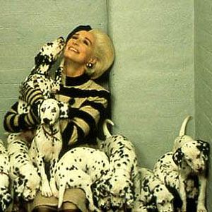 Foto Os 102 Dálmatas