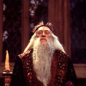 Foto Harry Potter e a Pedra Filosofal