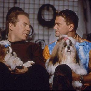 Foto O Melhor do Show