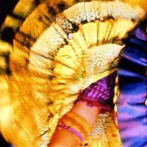 Foto Moulin Rouge - Amor em Vermelho