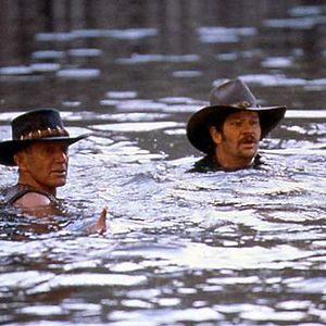 Foto Crocodilo Dundee em Hollywood