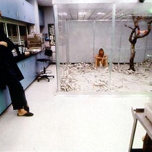 Foto A Natureza Quase Humana