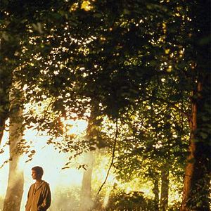 Foto All the Little Animals