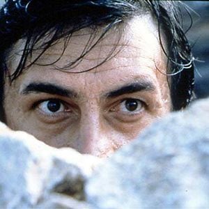 Foto Terra de Ninguém