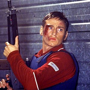 Foto Ninho de Vespas