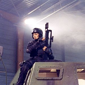 Foto Ninho de Vespas