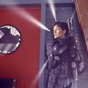 Foto Ninho de Vespas