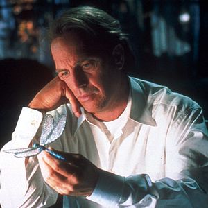 Foto O Mistério da Libélula