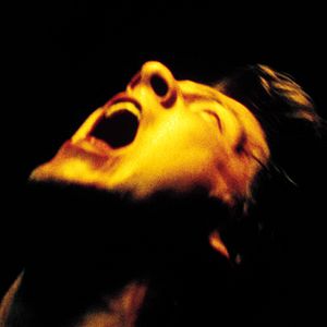 Foto Zachary Knighton