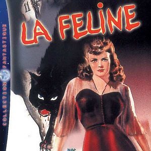 Foto Sangue de Pantera