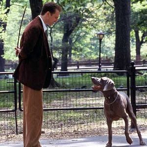 Foto Encontro de Amor