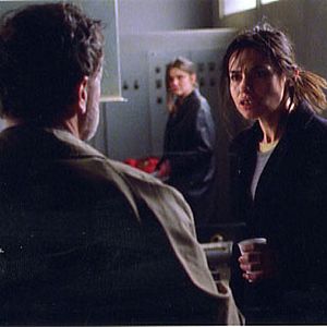 Foto O Tempo do Lobo