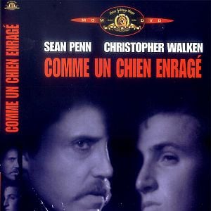 Foto Caminhos Violentos