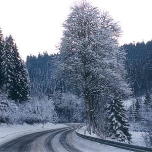 Foto Vincent Dieutre