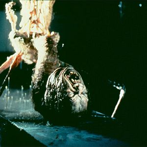 Foto O Enigma de Outro Mundo