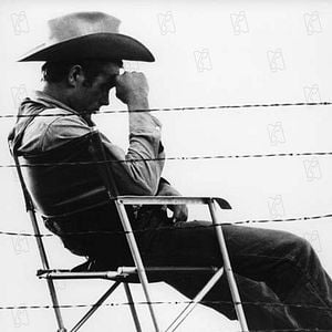 Foto Assim Caminha a Humanidade