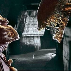 Foto Paul W.S. Anderson