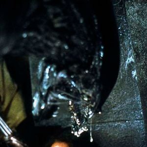 Foto Alien vs. Predador