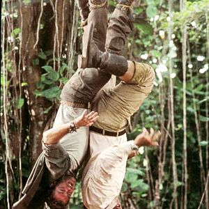 Foto Bem-Vindo à Selva