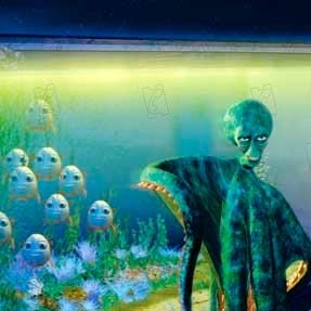 Foto O Espanta Tubarões