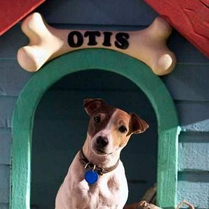 Foto O Filho do Máskara