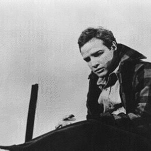 Foto Sindicato de Ladrões