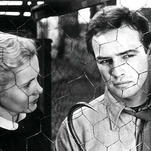 Foto Sindicato de Ladrões