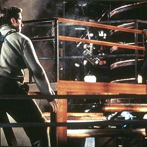 Foto Wych Kaosayananda