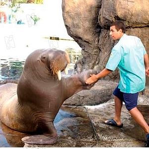 Foto Como Se Fosse a Primeira Vez