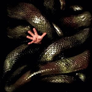 Foto Anaconda 2 - A Caçada pela Orquídea Sangrenta