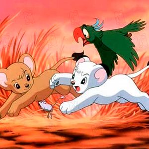 Foto Kimba, O Leão Branco