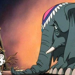 Foto Kimba, O Leão Branco