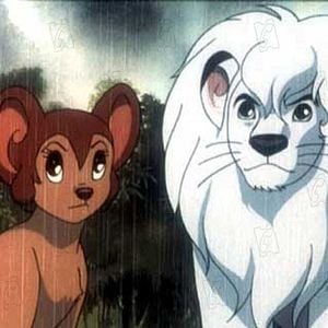 Foto Kimba, O Leão Branco