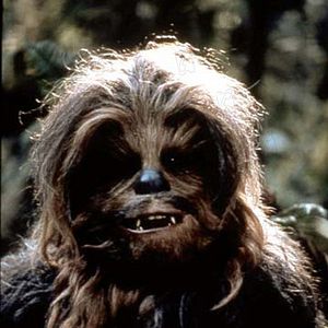 Foto Peter Mayhew