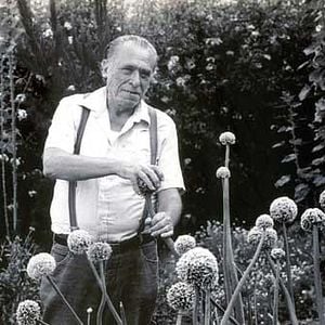 Foto Charles Bukowski