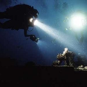 Foto Ladrão de Diamantes