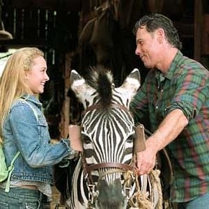 Foto Hayden Panettiere