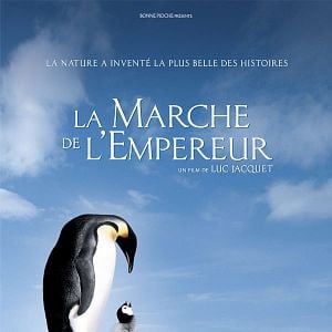 Foto A Marcha dos Pingüins