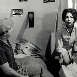 Foto O Signo do Leão