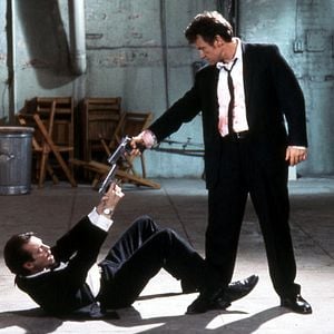 Foto Cães de Aluguel