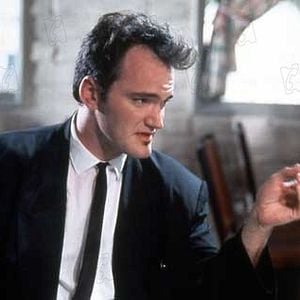 Foto Cães de Aluguel